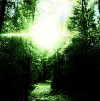 /album/www-pix-fx-de/alles-anders-jpg1/